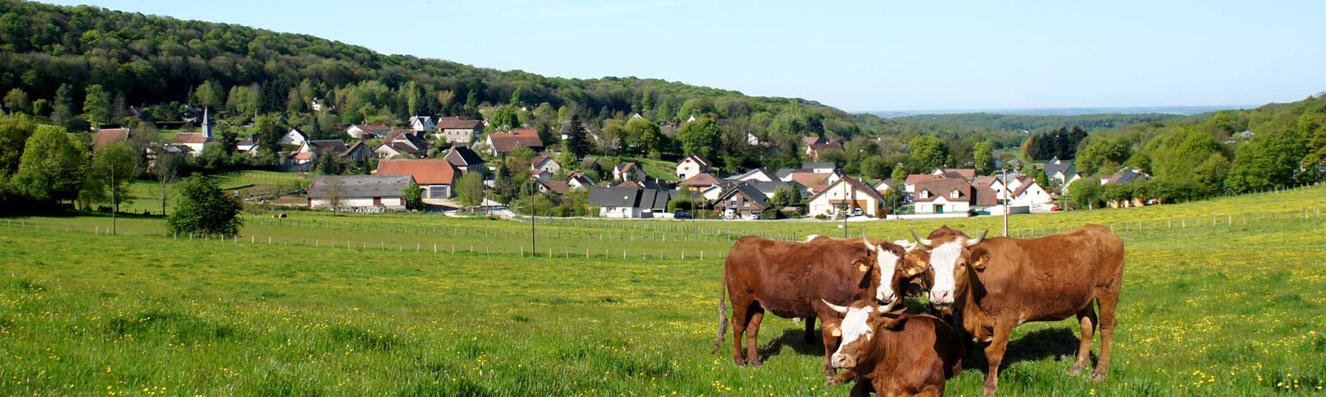 image 01 accueil tallenay