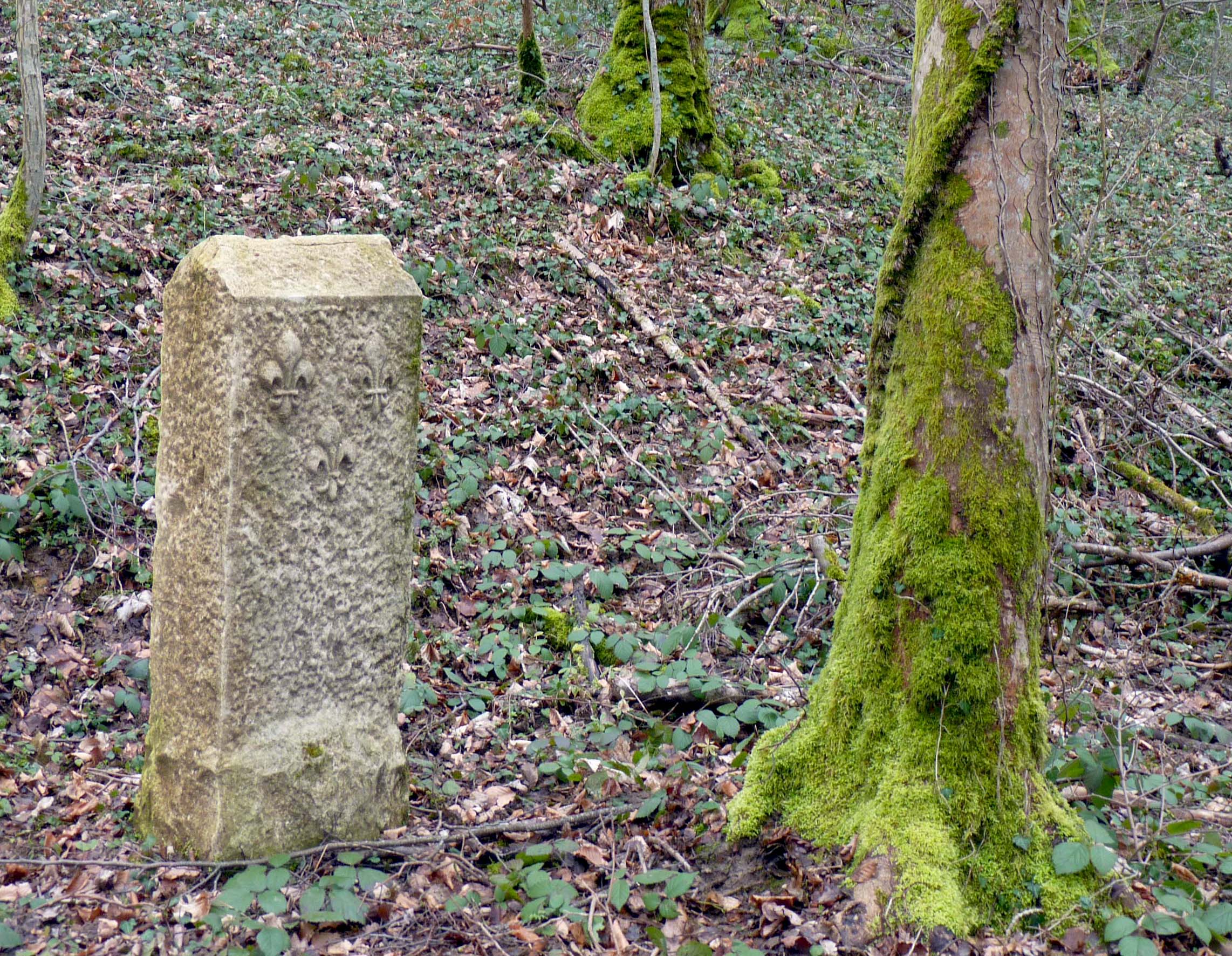 Installation de bornes royales à Tallenay